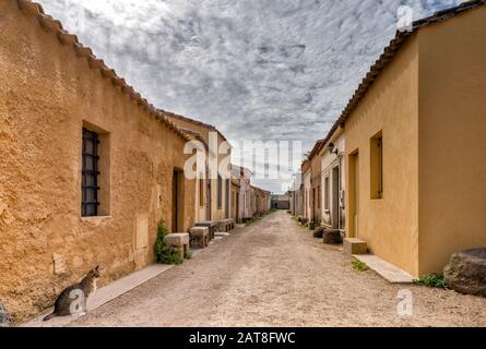 Gatto solitario in strada in un villaggio abbandonato di San Salvatore, Penisola del Sinis, comune di Cabras, provincia di Oristano, Sardegna, Italia Foto Stock