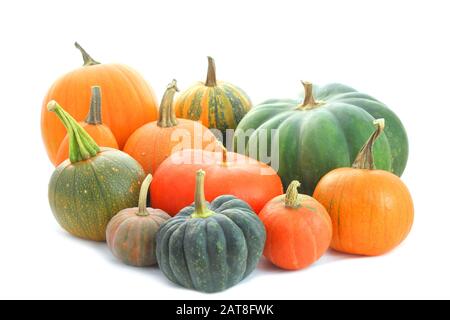 Famiglia di zucche. Gruppo di varietà diverse frutti isolati su sfondo bianco Foto Stock