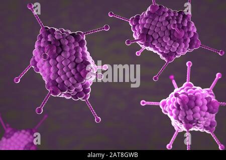 Illustrazione 3D, primo piano del microscopio Adoeno Virus Foto Stock