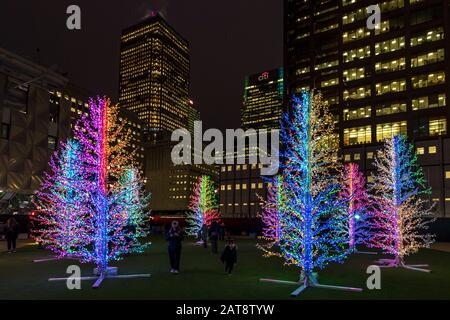 'shama Trees' di Adam Decolight al Bank Street Park. 2020 Winter Lights Festival a Canary Wharf, Londra, Inghilterra. Foto Stock