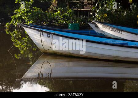 Pirogues, piccole barche da pesca in legno, Grand Riviere sulla costa nord-est di Trinidad, Trinidad e Tobago Foto Stock