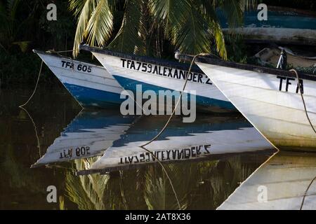Pirogues, piccole barche da pesca in legno, Grand Riviere sulla costa nord-est di Trinidad, Trinidad e Tobago Foto Stock