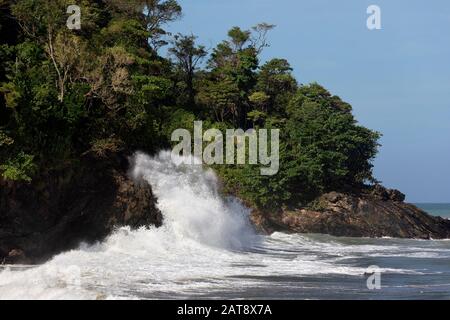 Onde che si infrangono su un robusto litorale roccioso a Grand Riviere sulla costa nord-est di Trinidad, Trinidad e Tobago Foto Stock