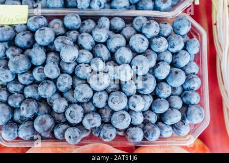 I mirtilli in plastica trasparente vassoio girato dal di sopra Foto Stock