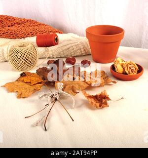 Foto quadrata di oggetti casuali in tonalità oro bianco e marrone. Foglie, filo, vaso di fiori, rose sbiadite. Foto Stock