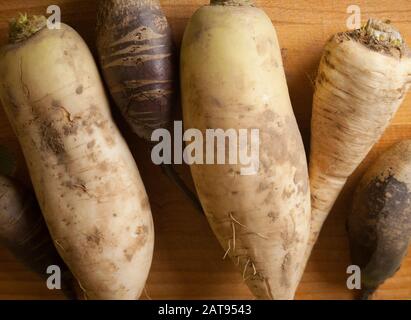 diverse dimensioni e colore delle barbabietole da radice e del rafano bianco su una tavola di legno non sbucciata Foto Stock