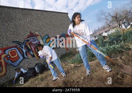 Austin, Texas: Volontari studenti universitari al 'Project 2000' barriolo pulizia-up abbellimento sforzo. 2/19/00 ©Bob Daemmrich Foto Stock