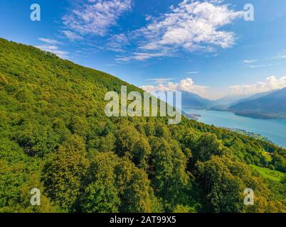Ampio angolo Panorama del Lago di Como con le Alpi sullo sfondo e Gli Alberi in primo piano. Concetto Di Cartolina Di Viaggio Foto Stock