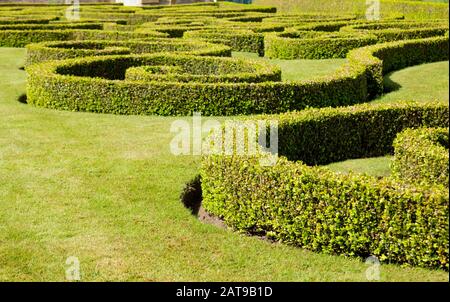 Parterre E Giardini Topiari. Siepe Piantato e Rifilato in Forma Labyrinth Foto Stock