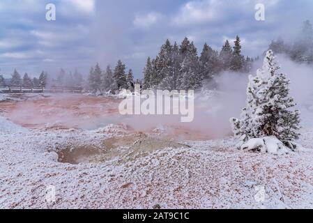 Il vapore sale da una fumarola in inverno. Parco Nazionale Di Yellowstone, Wyoming, Stati Uniti Foto Stock