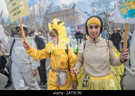 Centinaia di persone a Madrid si uniscono a una manifestazione che si batte per la sopravvivenza delle api in Spagna. Girato il 31 gennaio, gli attivisti sono visti indossare ape Foto Stock