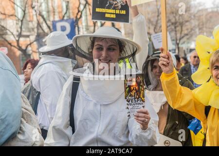 Centinaia di persone a Madrid si uniscono a una manifestazione che si batte per la sopravvivenza delle api in Spagna. Girato il 31 gennaio, gli attivisti sono visti indossare ape Foto Stock