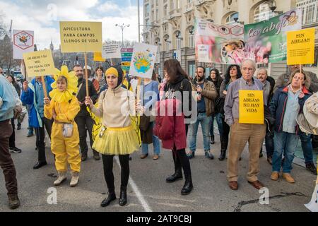Centinaia di persone a Madrid si uniscono a una manifestazione che si batte per la sopravvivenza delle api in Spagna. Girato il 31 gennaio, gli attivisti sono visti indossare ape Foto Stock