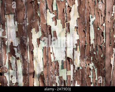 Parete di legno marrone con vernice vecchia Foto Stock