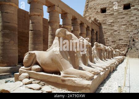 Luxor, Karnak, Egitto, Africa. Tempio di Karnak. Diversi sfingi a testa di ariete all'interno del tempio. Foto Stock