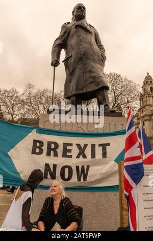 Londra, Regno Unito. 31st gennaio 2020. In una giornata storica nella politica britannica, i sostenitori della Brexit celebrano la piazza del Parlamento mentre Restano gli elettori che si riuniscono vicino a Downing Street. Entrambe le fazioni poi si confrontano mentre si sfilano oltre la Camera dei Comuni. Credito: Haydn Denman/Alamy Live News. Foto Stock