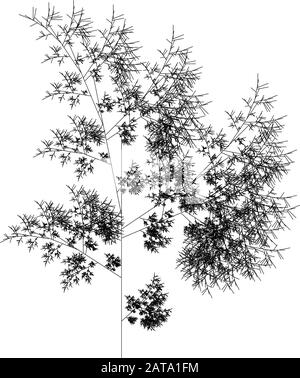 Flat Vector computer generated L-system Fractal Plant - Generative Art Illustrazione Vettoriale