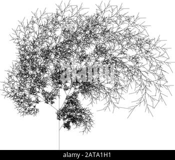 Flat Vector computer generated L-system Fractal Plant - Generative Art Illustrazione Vettoriale