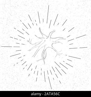 Simbolo disegnato a mano del neurone cellulare del cervello - icona del tratteggio del vettore del Doodle Illustrazione Vettoriale