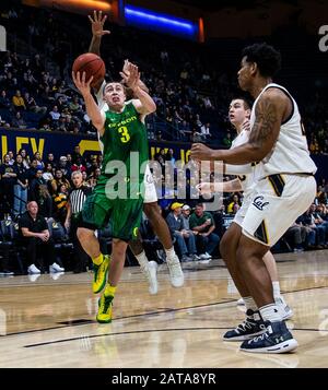 Berkeley, CA, Stati Uniti, 30th Gen, 2020. A. Oregon Ducks guardia Payton Pritchard (3) guida al cerchio durante il NCAA Men's Basketball gioco tra Oregon Ducks e California Golden Bears 77-72 vincere al padiglione Hass Berkeley Calif. Thurman James/CSM/Alamy Live News Foto Stock