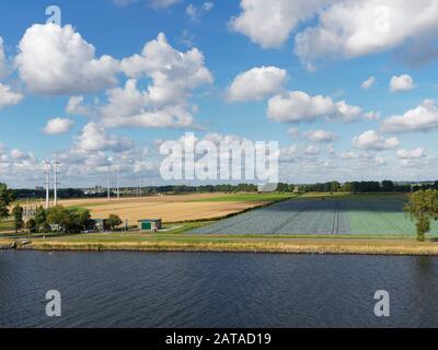 I campi di fiori di Olanda che si estendono fino alla distanza accanto al canale del mare del Nord in una giornata di sole in agosto. Foto Stock