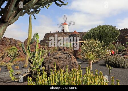 Il Jardin de Cactus di Cesar Manrique, sito Patrimonio dell'umanità dell'UNESCO della Biosfera, Guatiza, Lanzarote Foto Stock