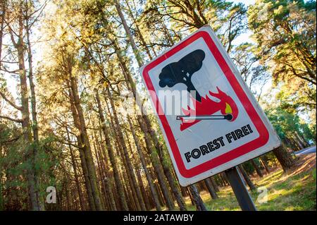 Segnale di avvertimento per il fuoco della foresta vicino ad una foresta. Foto Stock