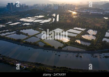 Veduta aerea dei campi verdi rurali nel confine di Hong Kong e dei lucernari in Shenzhen, Cina Foto Stock