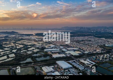 Veduta aerea dei campi verdi rurali nel confine di Hong Kong e dei lucernari in Shenzhen, Cina Foto Stock