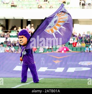 Perth, Australia. 01st Feb, 2020. 1st Febbraio 2020; HBF Park, Perth, Australia Occidentale; A League Football, Perth Glory Versus Melbourne Victory; Perth Glory & x2019;s mascotte Wonding the Glory flag Credit: Action Plus Sports Images/Alamy Live News Foto Stock