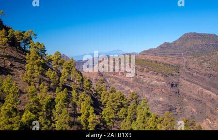 Gran Canaria, gennaio, vista dal massiccio del Tauro verso Teide su Tenerife Foto Stock