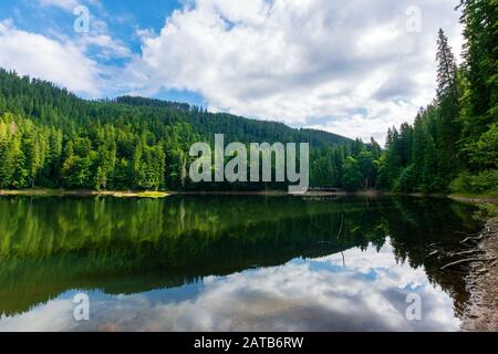 Lago di montagna in estate. grande all'aperto uno scenario della natura. La foresta di conifere con alberi di alto fusto sulla riva riflettendo in acqua chiara. deep blue sky wit Foto Stock