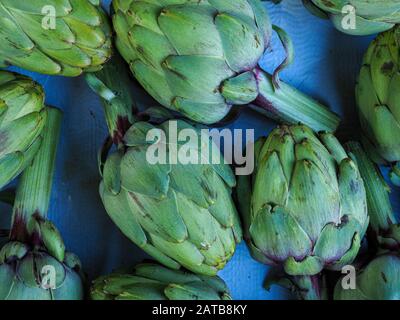 Esposizione di carciofi verdi disposti su sfondo blu Foto Stock