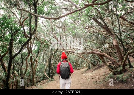 Donna vestita casualmente in camicia rossa e cappello trekking con zaino nella bella foresta pluviale, viaggiando sull'isola di Tenerife, Spagna Foto Stock