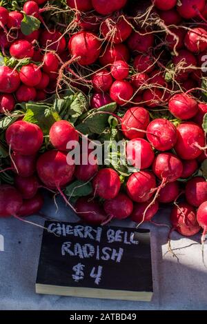 Ravanelli sul tavolo al mercato degli agricoltori urbani Foto Stock