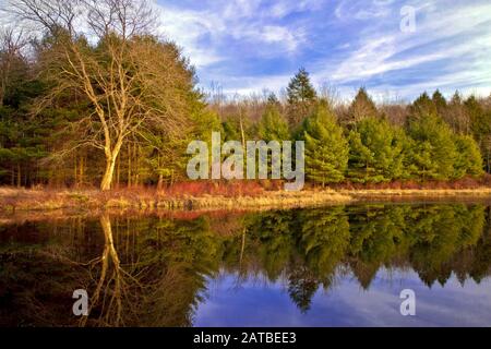 Lower Lake At Promised Land State Park, Pennsylvania, Stati Uniti Foto Stock