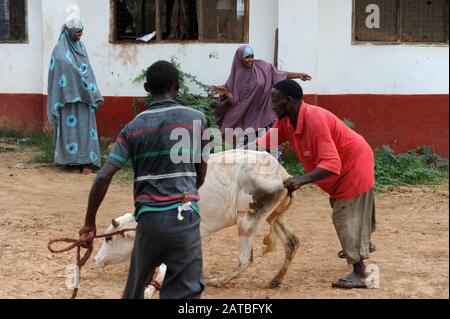 6 Novembre 2011. Dadaab, Kenya. Dadaab è una città semi-arida nella contea di Garissa, in Kenya. Foto Stock