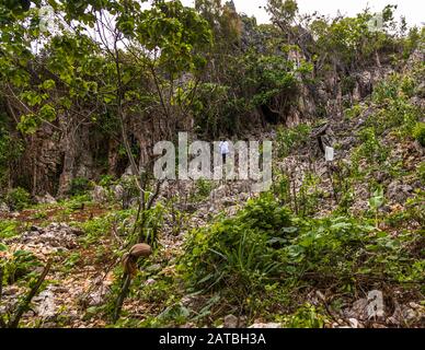 Grotta di cannibale sull'isola di Pana Wara Wara, Papua Nuova Guinea. John locale ci conduce attraverso i campi di verdure sassose ad una caverna incospicua Foto Stock