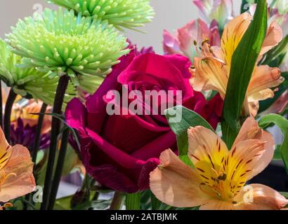 Primo piano di mazzo di bellissimi fiori colorati Foto Stock