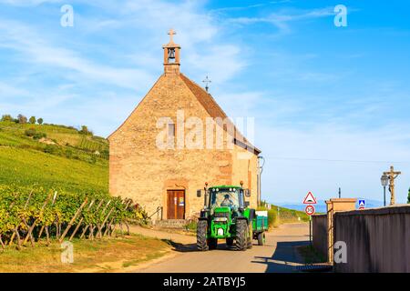 Alsazia, FRANCIA - 20 SETTEMBRE 2019: Trattore su strada vicino ai vigneti del villaggio di Kientzheim con la vecchia chiesa sullo sfondo, Alsazia strada del vino, Francia. Foto Stock
