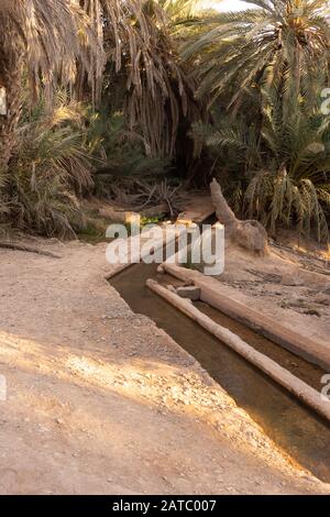 Sistema di irrigazione nell'oasi di Tingmert in Marocco Foto Stock