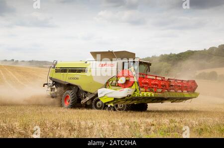 Mietitura della mietitrebbia in un giorno di estati. Molto Hadham, Hertfordshire. REGNO UNITO Foto Stock