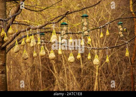 Dehner Blumenpark • Ldkr. Donau-Ries, Schwaben, Bayern, Deutschland Foto Stock