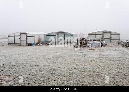 tre serre in legno e lamina in piedi da soli in inverno durante la giornata di nebbia Foto Stock