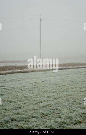 pilone a linea singola in piedi da solo sul campo durante il giorno di nebbia nella stagione invernale Foto Stock