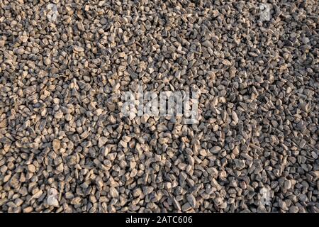 Fondo di pietre di mare, Fondo grigio di pietra Di Terra di molte pietre piccole, trama di ghiaia. Pietre piccole, rocce piccole, ciottoli in molte sfumature di grigio, Foto Stock