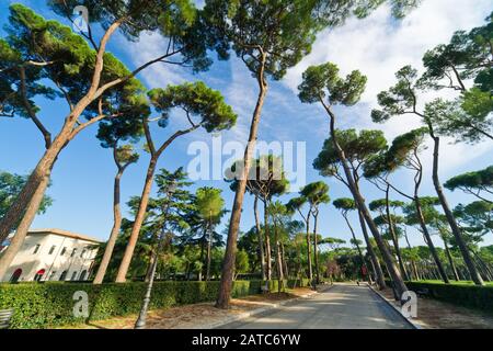Bellissimo parco di Villa Borghese, Roma, Italia Foto Stock