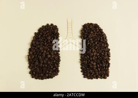 Polmoni umani concettuali Foto Stock