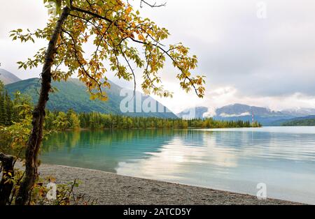 Bella alba al fiume Kenai, Alaska, Stati Uniti. Il fiume Kenai è il fiume più lungo della penisola di Kenai nell'Alaska centro-meridionale Foto Stock