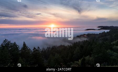 Tramonto Su tappeti e foreste nubi, Mt Tamalpais, Marin County, California, Stati Uniti Foto Stock